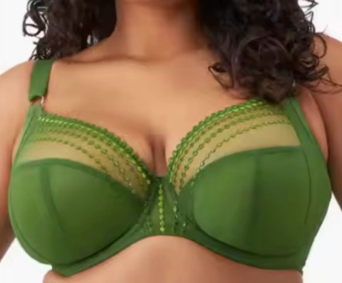 Premium Full-Figure Bra Collection