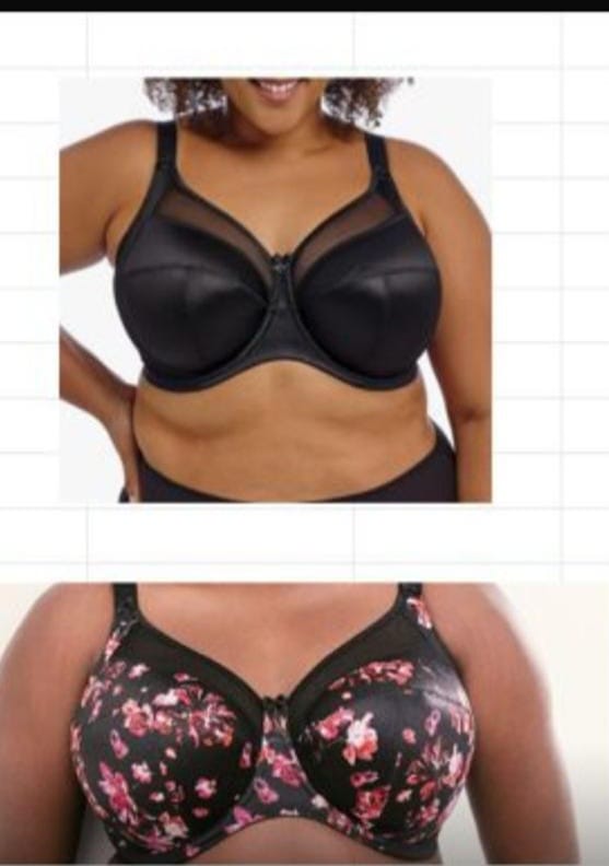 Premium Full-Figure Bra Collection
