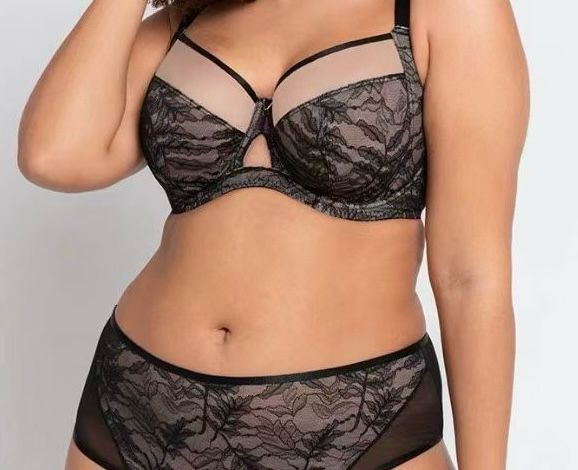 Premium Full-Figure Bra Collection