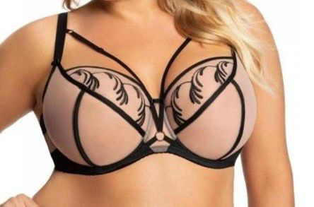Premium Full-Figure Bra Collection
