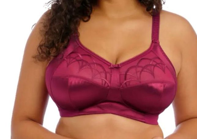 Premium Full-Figure Bra Collection