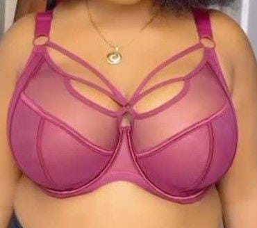 Premium Full-Figure Bra Collection